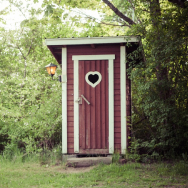 Country toilets